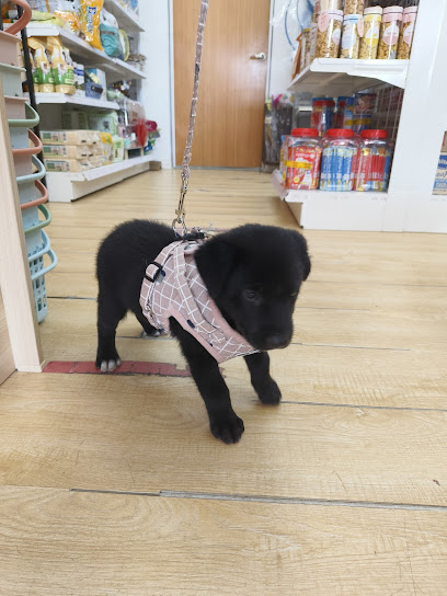 Expert Pet Store • 16 Sierra Puchong