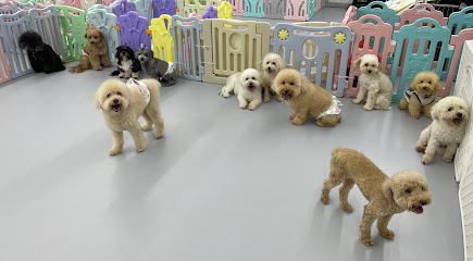 Little Paws Pet Wonderland