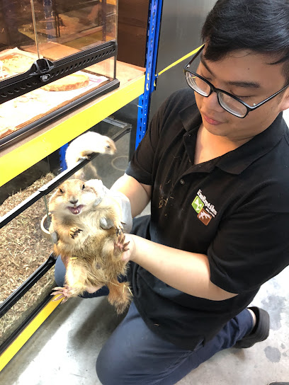 ExoReptiles Malaysia