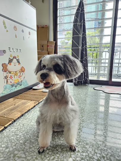 306 Paws House (Daycare & Boarding House)