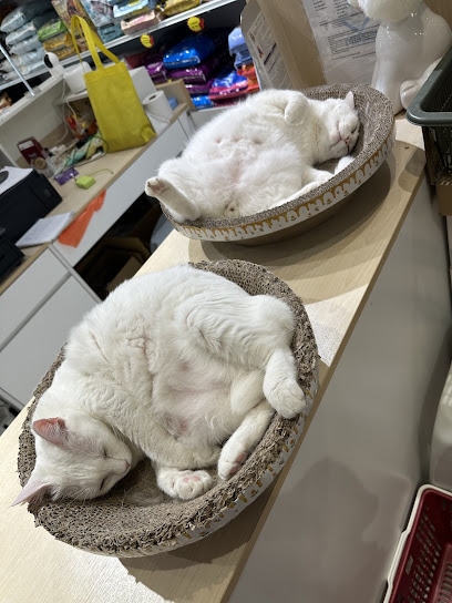 Shin Pets Outlet • Puchong