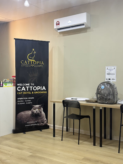 Cattopia - Exclusive Cat Hotel and Grooming in Petaling Jaya PJCC