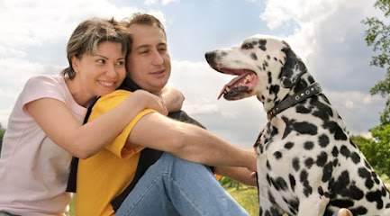 Pet Lovers Centre - Main Place Mall