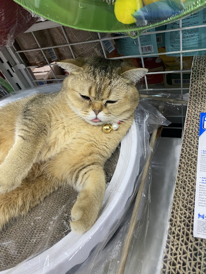 pets.twentyone @ Giant Seri Kembangan