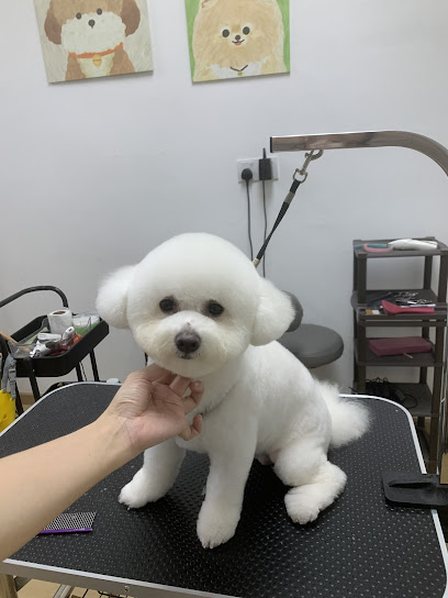 Clumsy Paw Puchong • Pet Grooming & Boarding