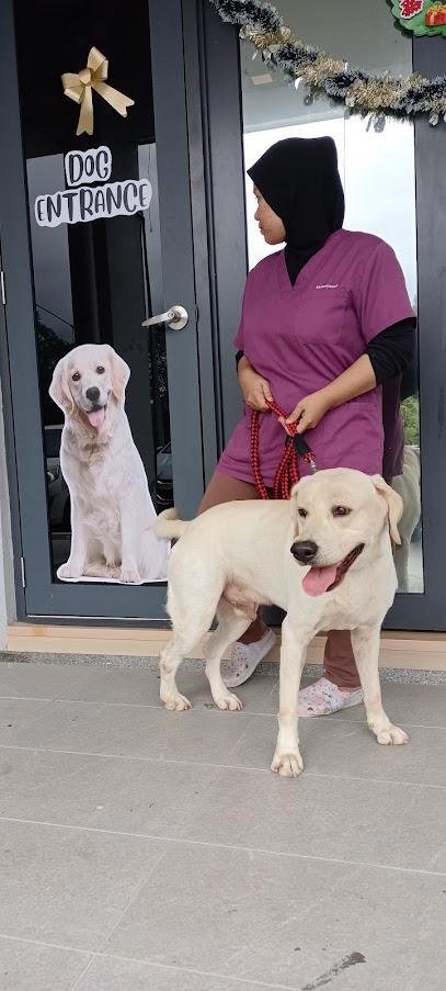 DD VetCare & Surgery