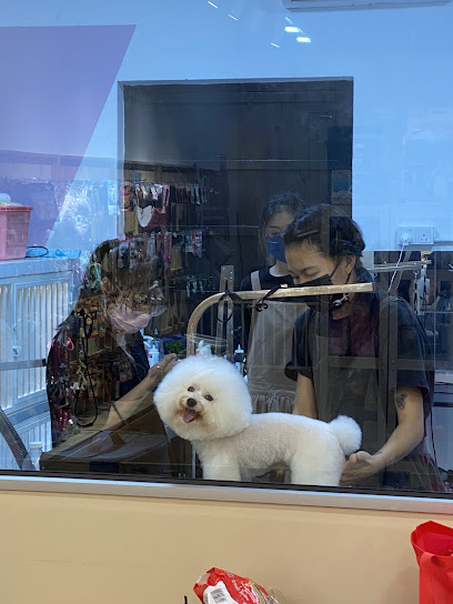 Yubaba Pet Spa