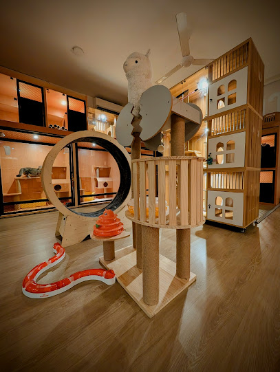 Cattesori Cat Hotel & Grooming