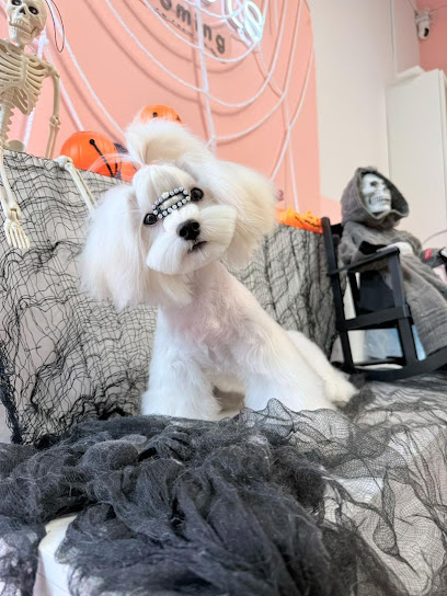 UniPets Boarding & Daycare | Bukit Jalil Pet Hotel
