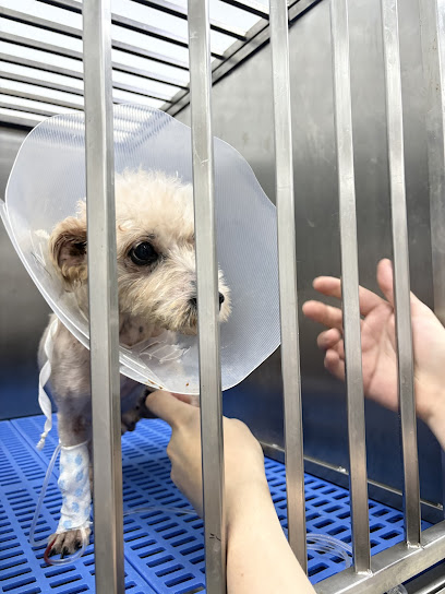 Poochie & Buddies Pet Centre