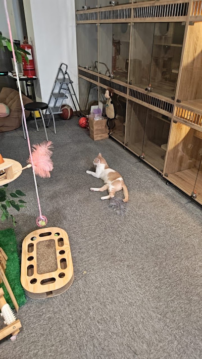Meowhub