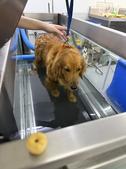 PAWS Rehab