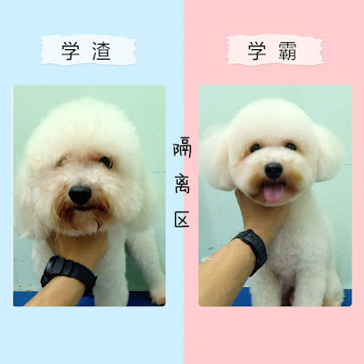 MooFu Pet Spa & Grooming (Puchong)