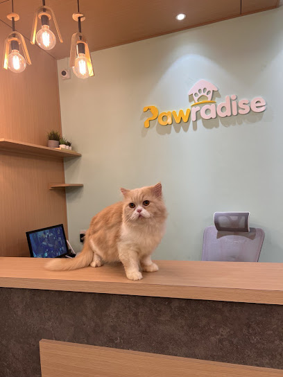 Pawradise Cat Hotel & Grooming
