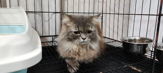M2 Cat House