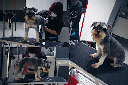 Pets Grooming Hotel - PGH