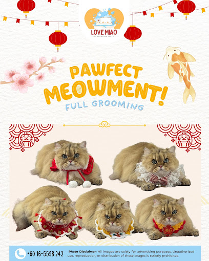 Love Miao Cat Grooming & Boarding