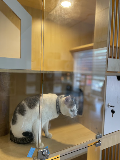 Majestic Cat Hotel & Grooming