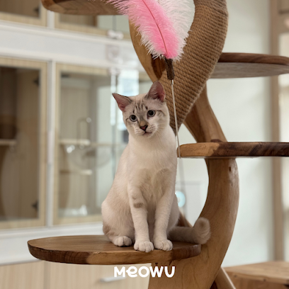 Meowu Cat Hotel & Grooming
