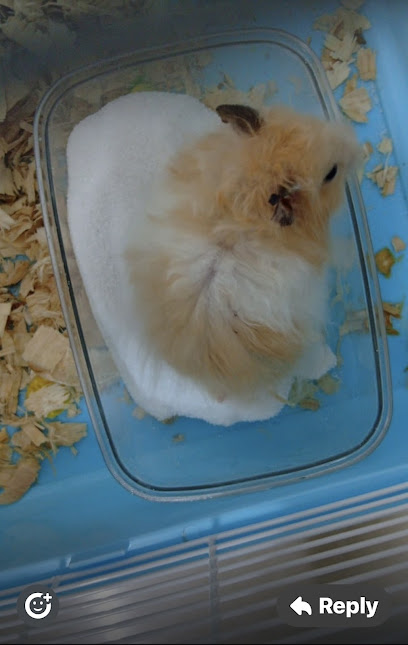 P3S Pet Shop Specialist & Studio 专业宠物馆