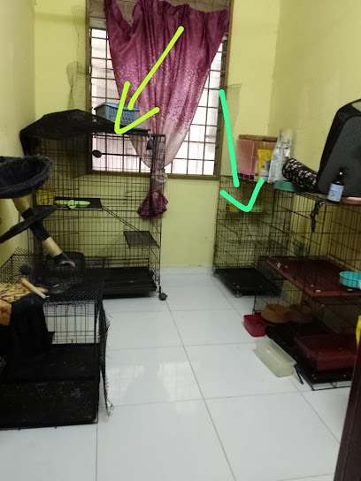 MeowStay Puchong(Grooming, Boarding, Pet Sitter)